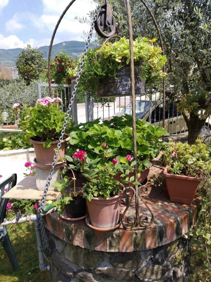 Bed and Breakfast Al Pozzo Negrar Esterno foto